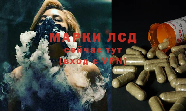сатива Костерёво