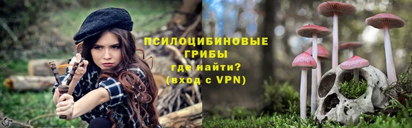не бодяженный Арсеньев