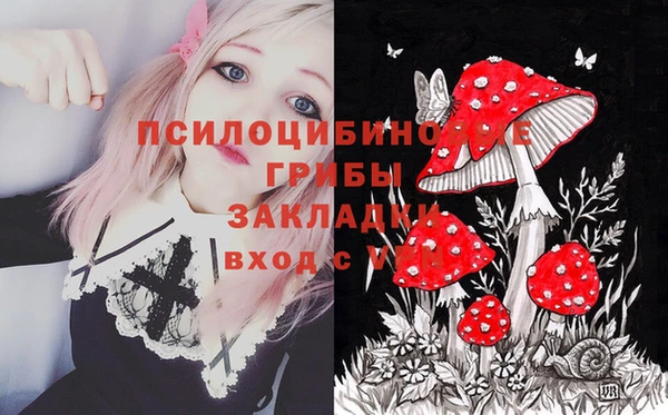 не бодяженный Арсеньев