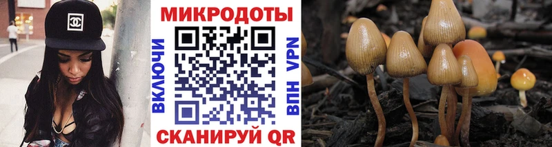 Псилоцибиновые грибы MAGIC MUSHROOMS Бокситогорск