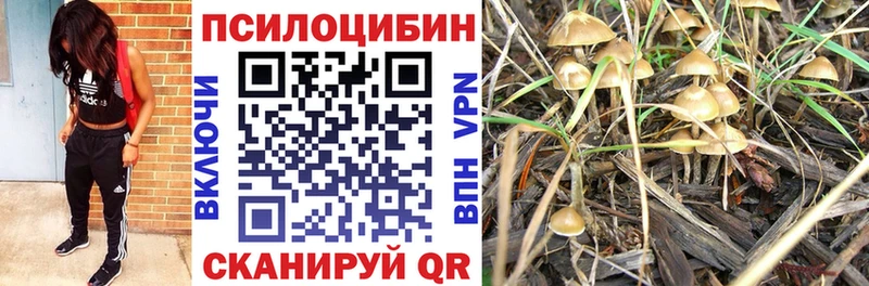 Галлюциногенные грибы Psilocybine cubensis  цены   Бокситогорск 