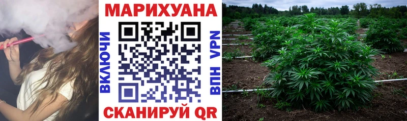 Каннабис тримм mega маркетплейс Бокситогорск